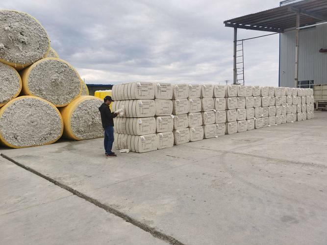 棉花收购期来临 河北国控所属纺联员工赴新疆驻厂